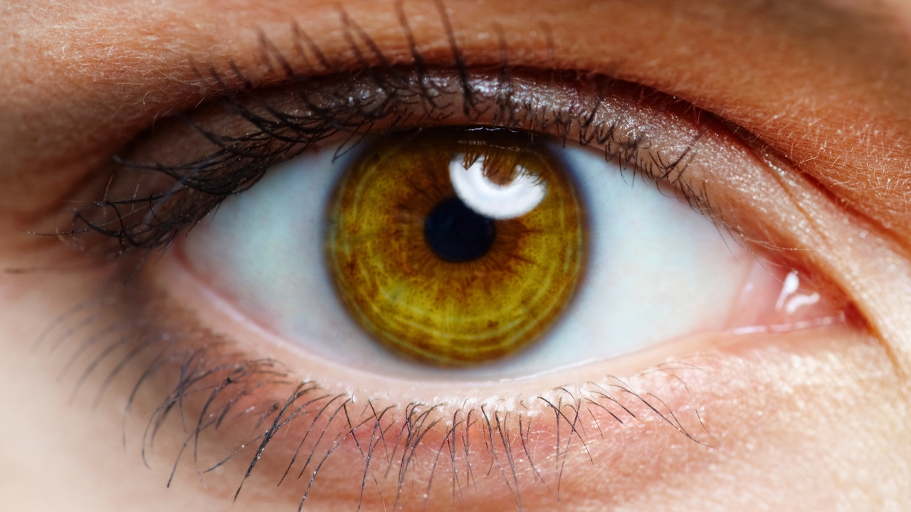 Comprehensive Eye Exams Forest Bluff Optometry