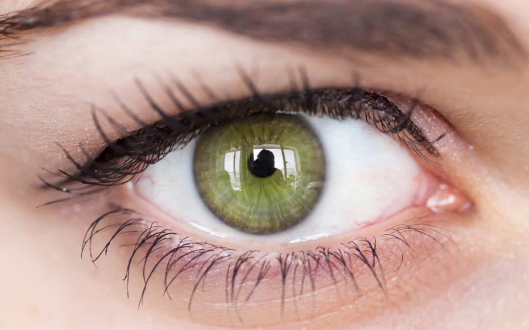 Eye Doctors Near Lake Forest, IL – Why Eye Exams Matter